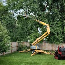 Best Lawn Irrigation Installation and Maintenance  in Hines, OR